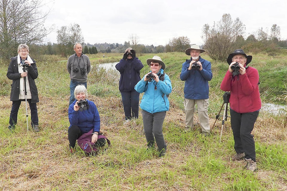 23619555_web1_201213-LAT-bird-count-Gordon_1