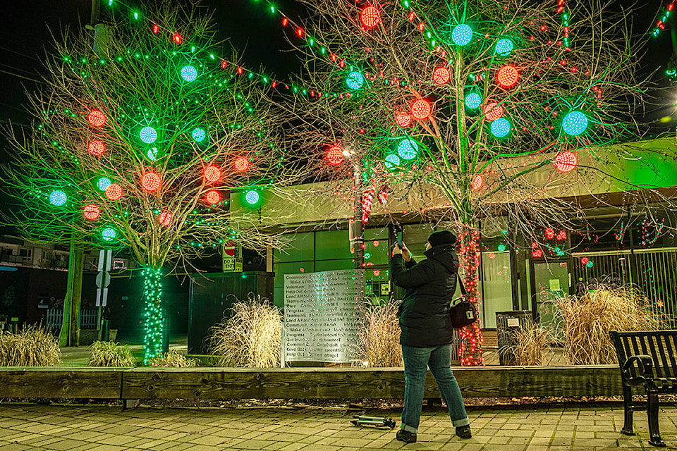 91ԭ City puts up holiday lights around city hall, in Douglas Park, and along some downtown roads. (Special to 91ԭ Advance Times)