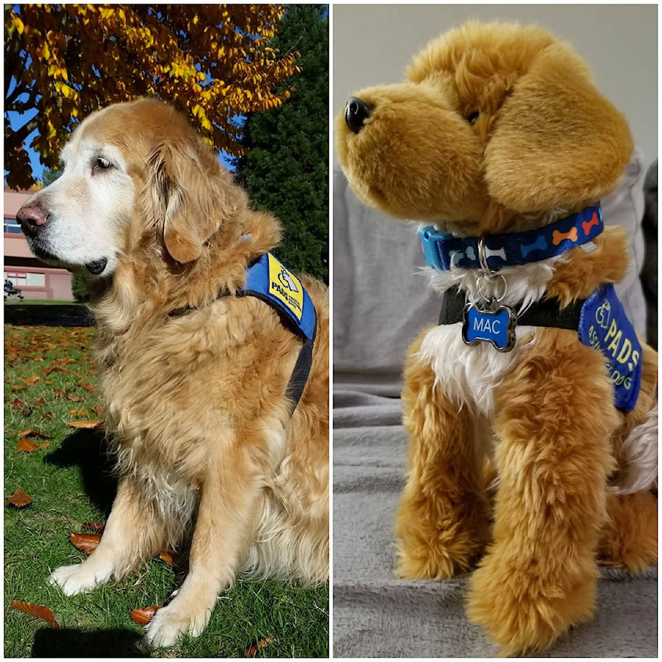 Service shop dog plush