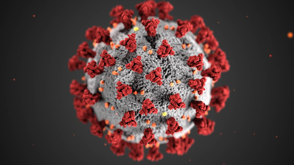 24213771_web1_Coronavirus_3D_illustration_by_CDC_1600x900