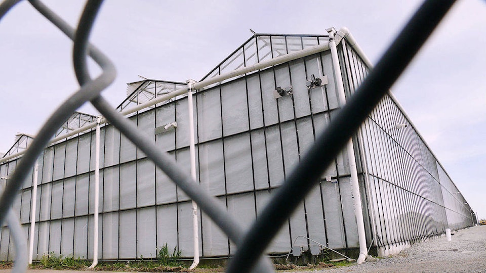 24228209_web1_210313-LAT-Canopy-sells-greenhouse-1_1