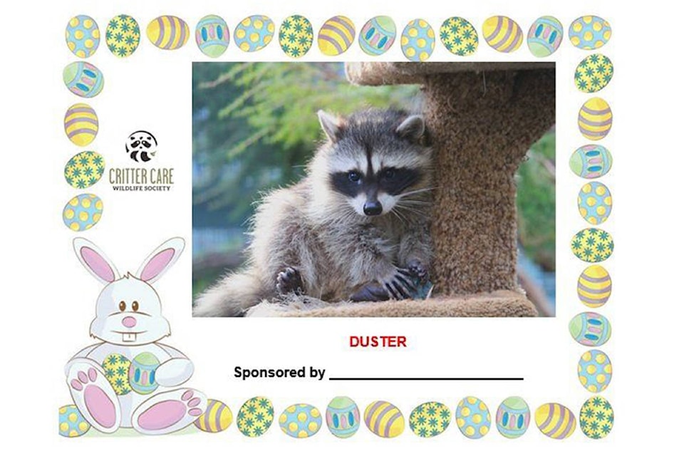 24374329_web1_210301-LAT-Critter-care-Easter-fundraiser-certificate_1