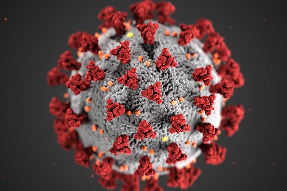 24741002_web1_Coronavirus_3D_illustration_by_CDC_1600x900