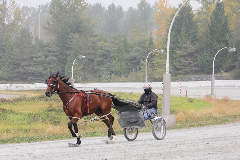 24870061_web1_200917-CLR-HarnessRacingToReturn-Folo-MJ_1