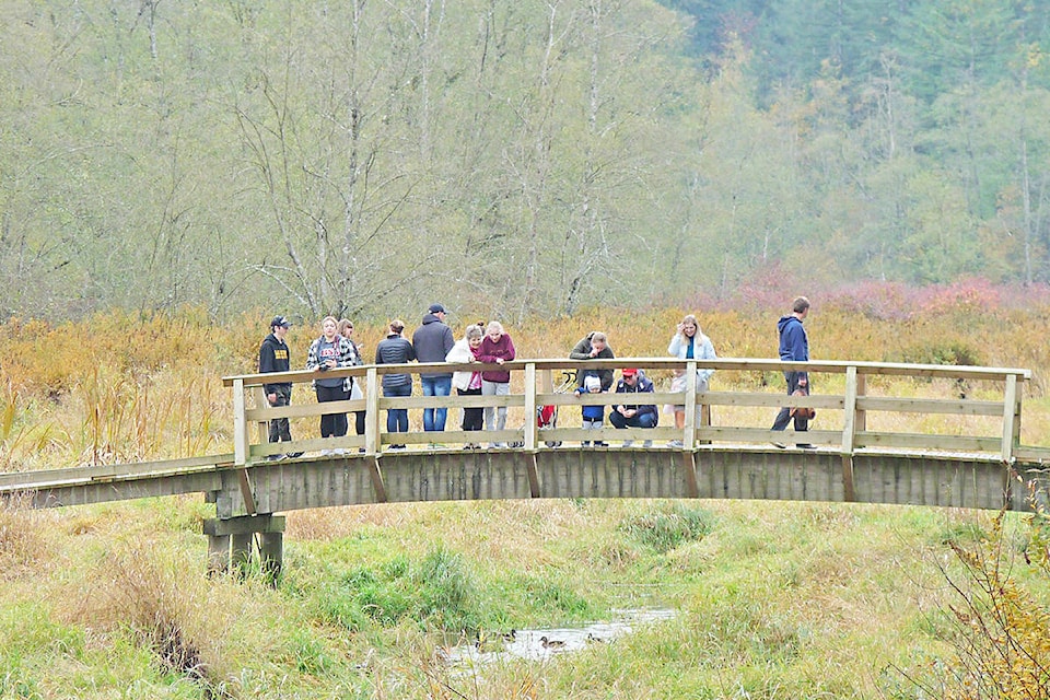 25006724_web1_181027-LAT-fall-campbell-valley-bridge