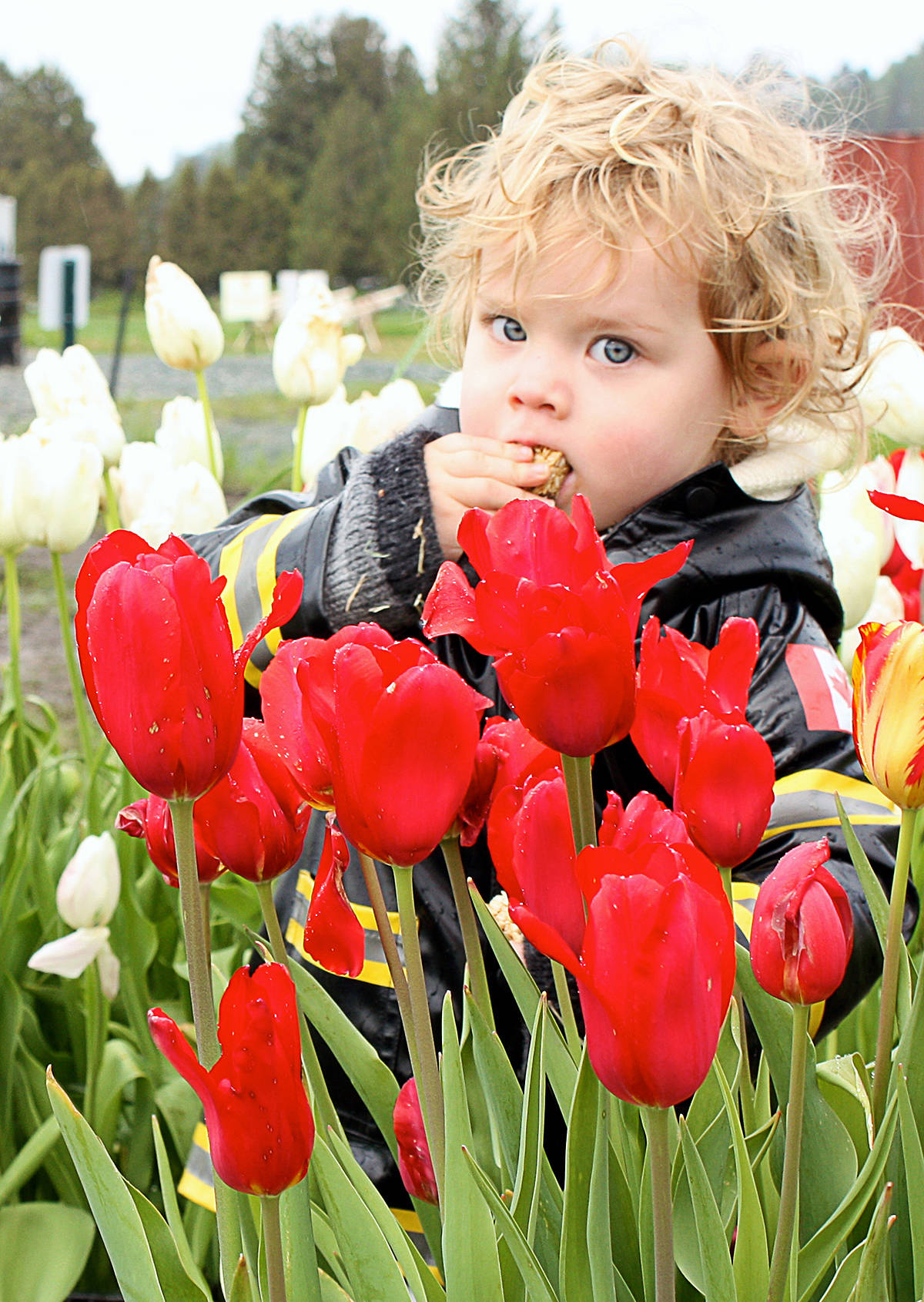 25028150_web1_210430-LAT-RH-MomAndTulips--Tatiana_3