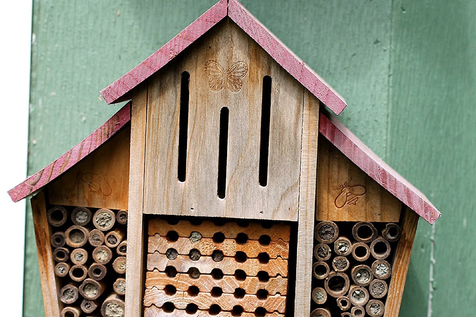 25103790_web1_210507-LAT-RH-GreenBeatMasonBees-House_1