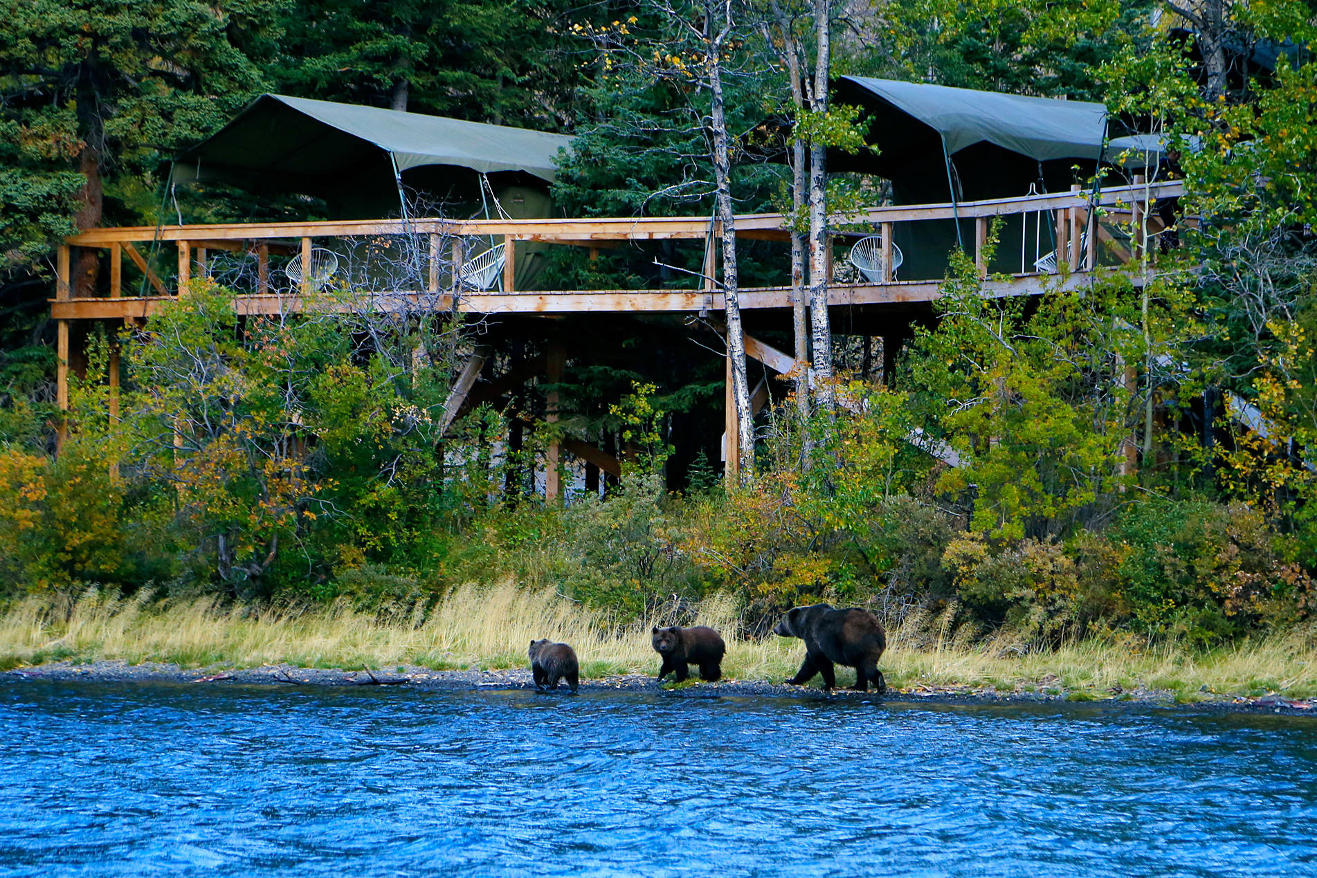 Enter to win an eight-day Rafting & Glamping Adventure with Bear Camp, located near the filming locations of Alone Season 8. Visit landwithoutlimits.com/alone for contest details.