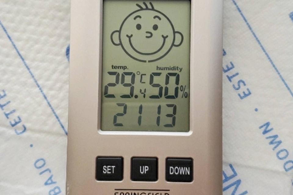 25749399_web1_210708-LAT-HospitalHeat