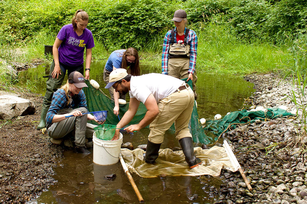 25781056_web1_210709-ALT-RU-Coho-Salmon-rescue-coho_2