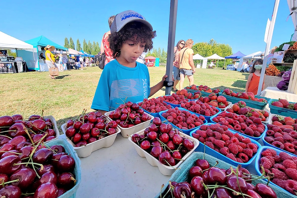 Willowbrook resident Khalil Powell, 5, tried to decide which type of berry he liked best at the Langley Community Farmers Market on Wednesday, July 14. (Dan Ferguson/Langley Advance Times)
