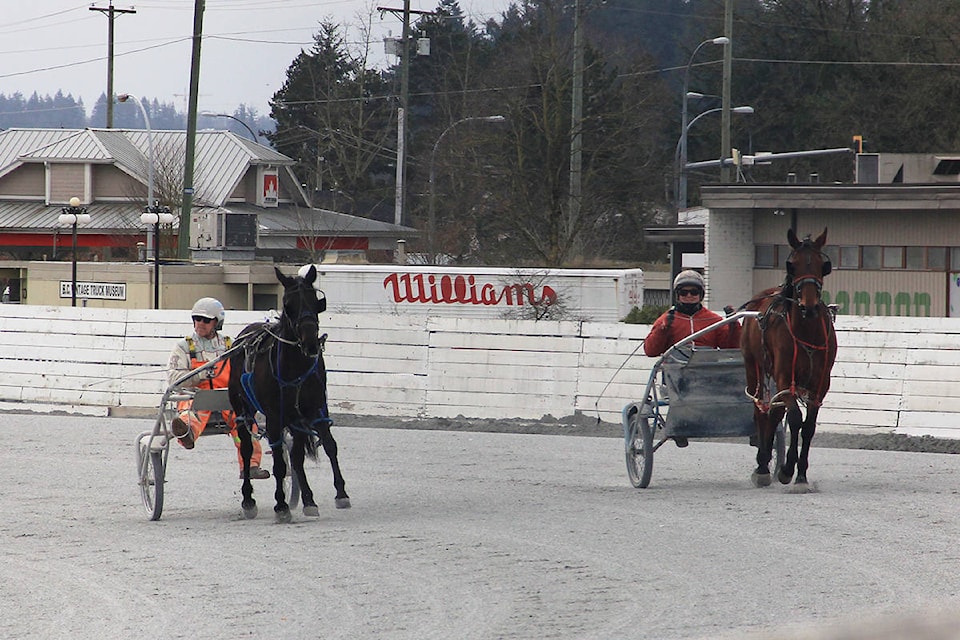 26093407_web1_210311-CLR-HarnessRacingToReturn-MJ_1