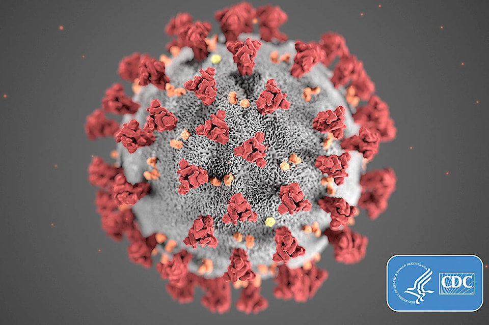 26095082_web1_coronavirus-CDC