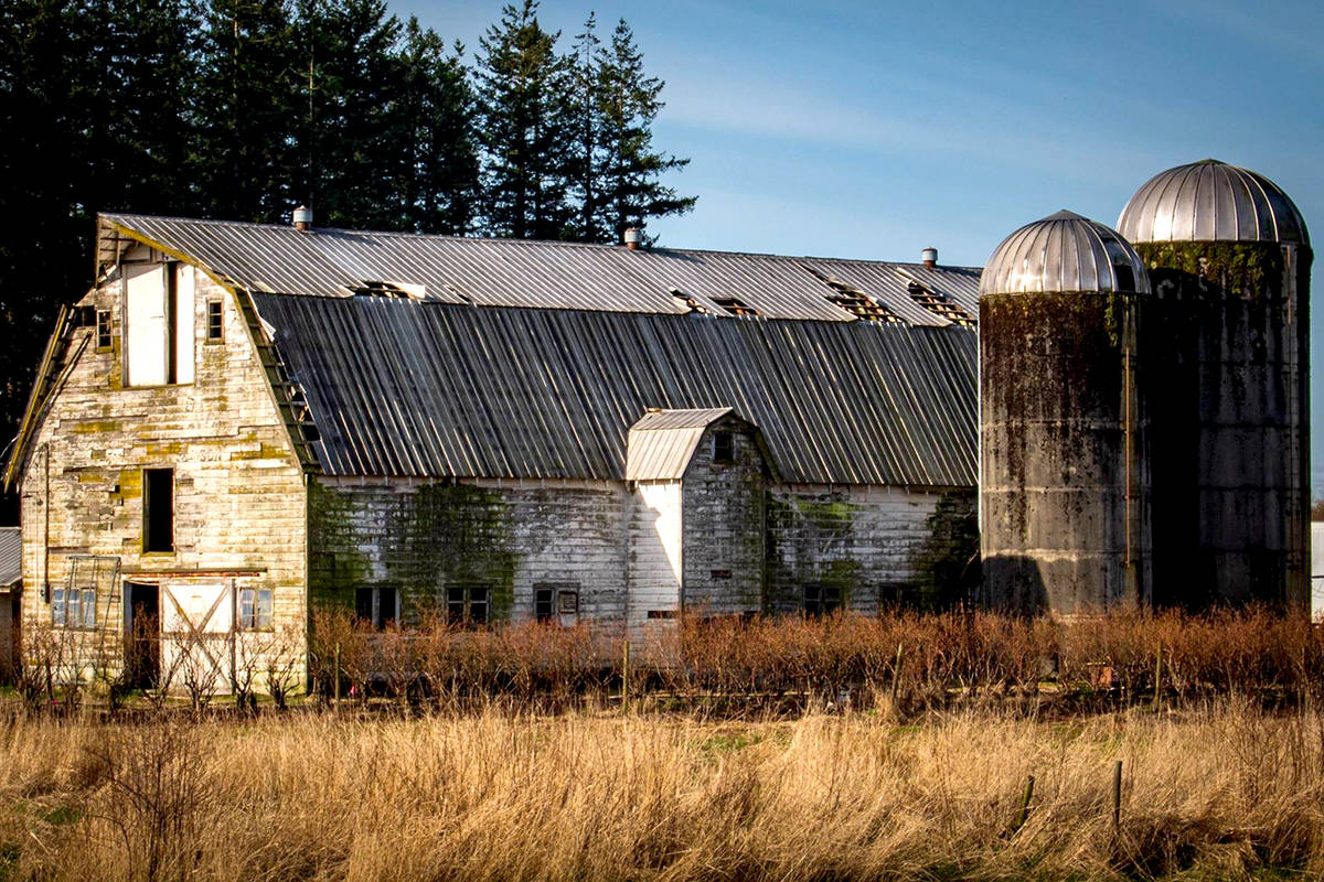 26124208_web1_210811-ALT-RU-Aldergrove-nature-barns_1