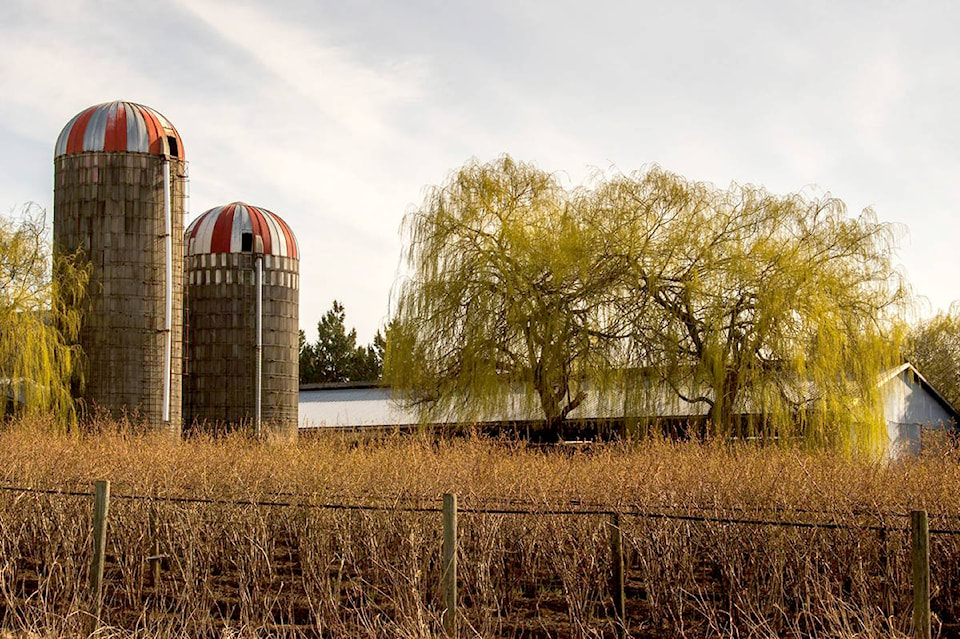 26124208_web1_copy_210811-ALT-RU-Aldergrove-nature-barns_2