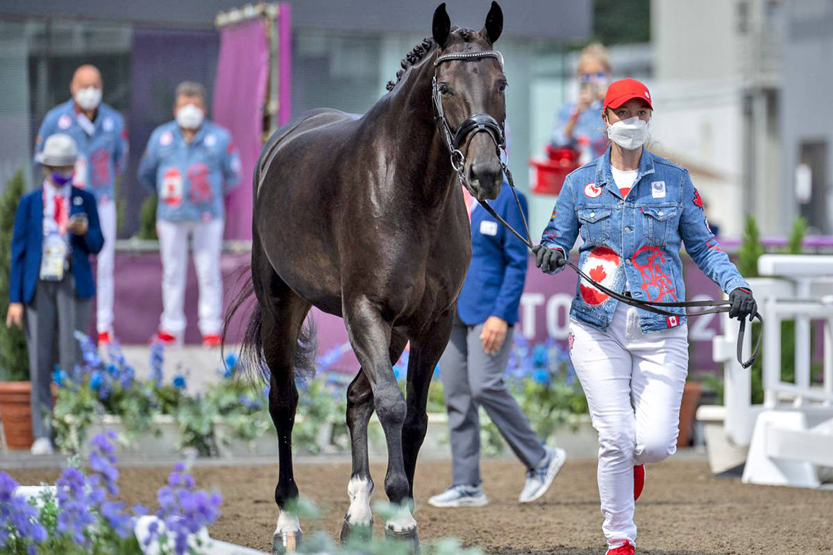 Lillie Durbin, groom for Lauren Barwick of Aldergrove, presents Sandrino at the para-dressage horse inspection, held Aug. 25, 2021, at the Tokyo 2020 Paralympic Games in Japan. (Jon Stroud Media/special to 91原创 Advance Times)