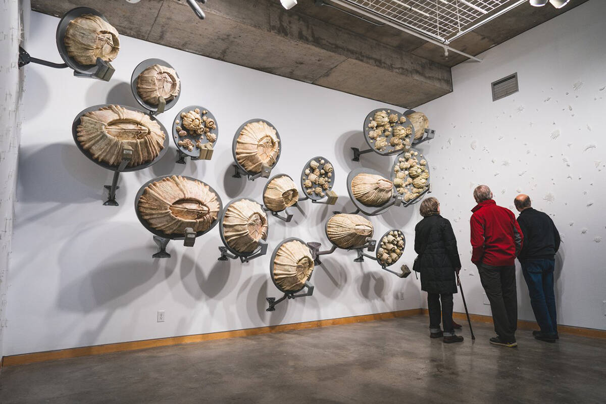 If youÂ’re eager for some culture, visit the Kamloops Art Gallery or Kamloops Symphony. Photo: Dylan Sherrard/Tourism Kamloops