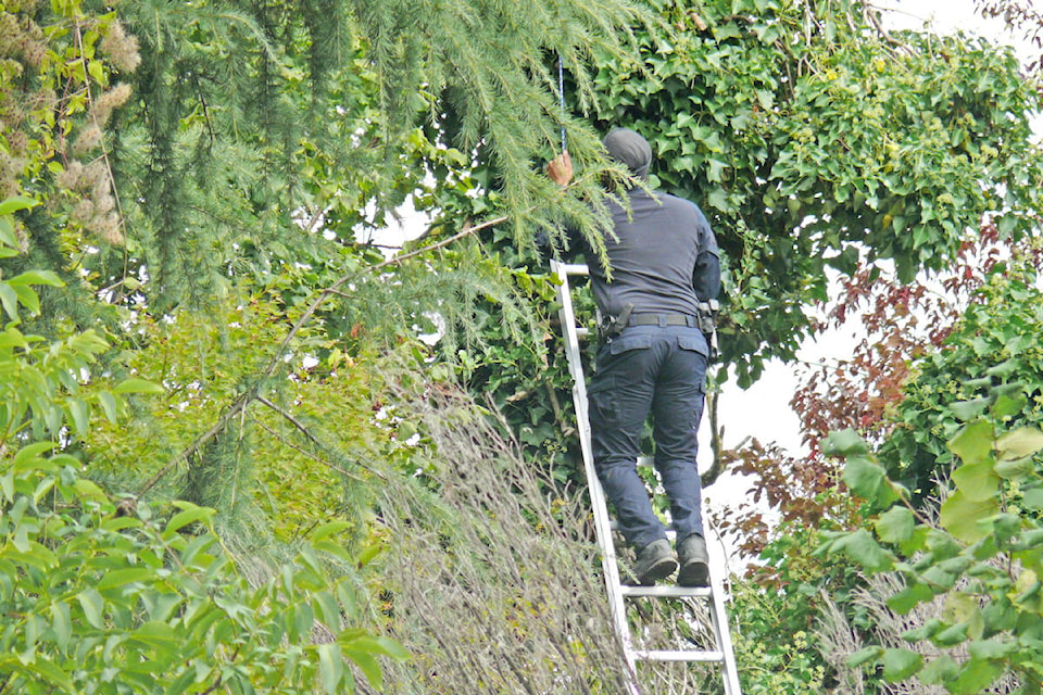 Police remained at the scene of Naomi Onotera’s Langley City home on Monday, Sept. 20. (Dan Ferguson/Langley Advance Times)