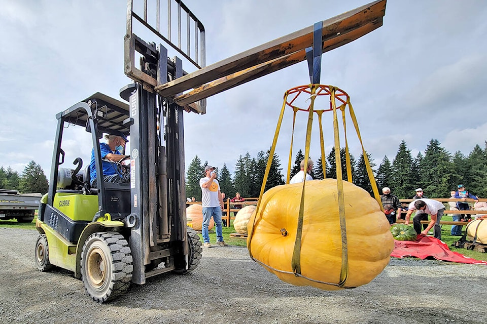 An estimated 1,000 people turned out for the annual giant pumpkin contest and weigh-in at Langley’s Krause Berry Farms and Estate Winery on Saturday, Oct. 2. Two new B.C, records were set. (Dan Ferguson/Langley Advance Times)