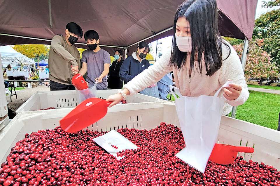 Walnut Grove Secondary School student Youngin Yun (right) and classmates were filling bags with cranberries on the front lawn of the historic Fort Langley community hall as the annual Fort Langley Cranberry Festival on Saturday, Oct. 9. (Dan Ferguson/Langley Advance Times)