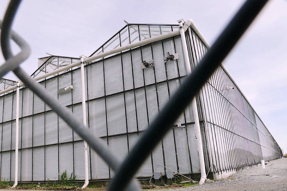 26824403_web1_210313-LAT-Canopy-sells-greenhouse-webcrop_1