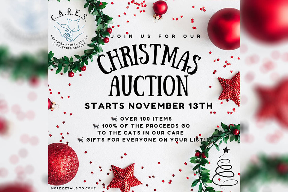 26993788_web1_CARES-Christmas-Auction-Facebook