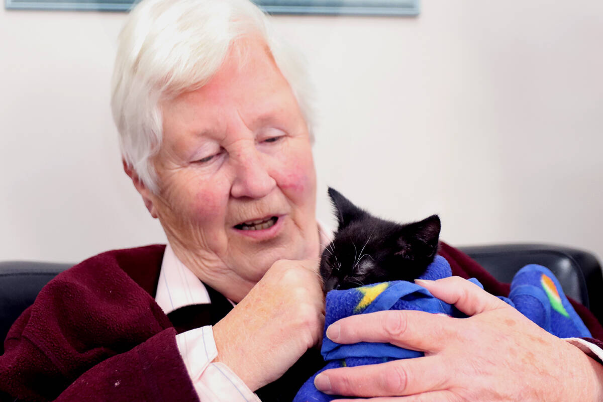 Jane Bradley told The Gazette that she聮s sure to keep the kittens聮 feet warm whenever she cuddles them. Photo: Laurie Tritschler