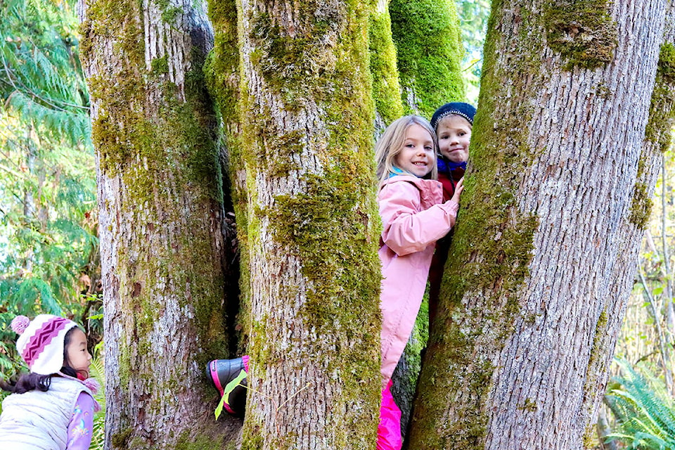 Students enjoy exploring the park during recess and lunch, including climbing trees and jumping in leaves at Ponder Park. (Langley School District/Special to Langley Advance Times)