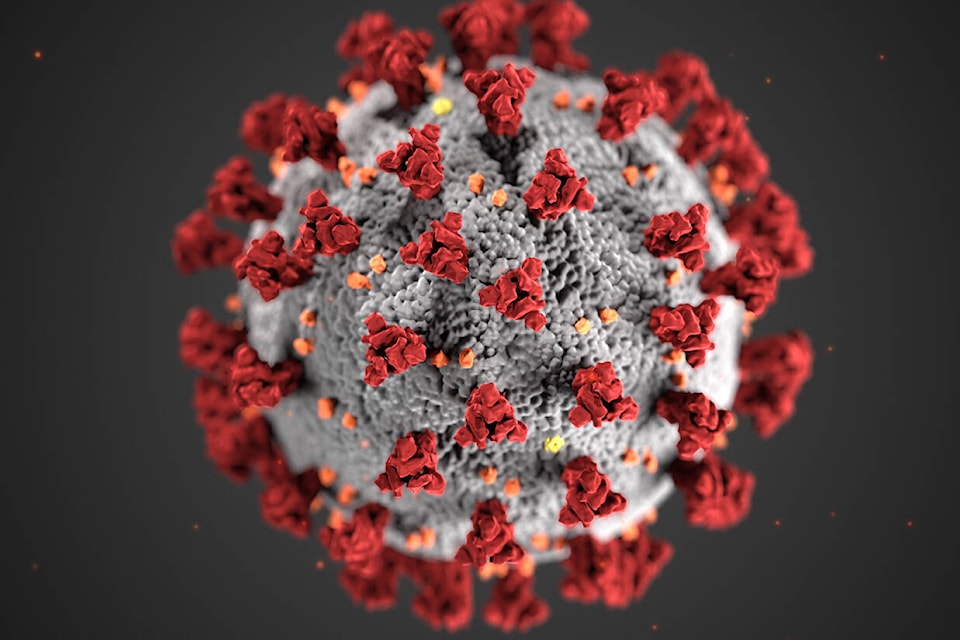27155415_web1_Coronavirus_3D_illustration_by_CDC_1600x900