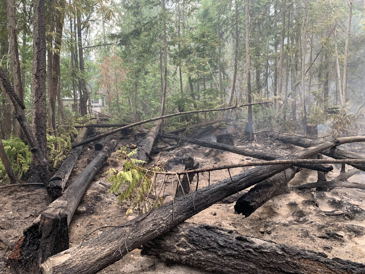 The Kutasewichs trailer can be seen through the trees in the aftermath of the fire. Submitted photo