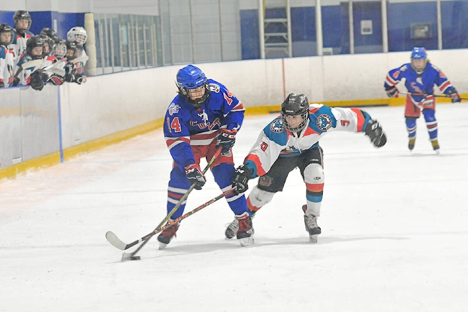 Some of the 16 teams and 272 kids who participated in the largest Gil Martin Tournament hosted by Langley Minor Hockey at the Sportsplex over Nov. 11-14. (Dan Ferguson Langley Advance Times)
