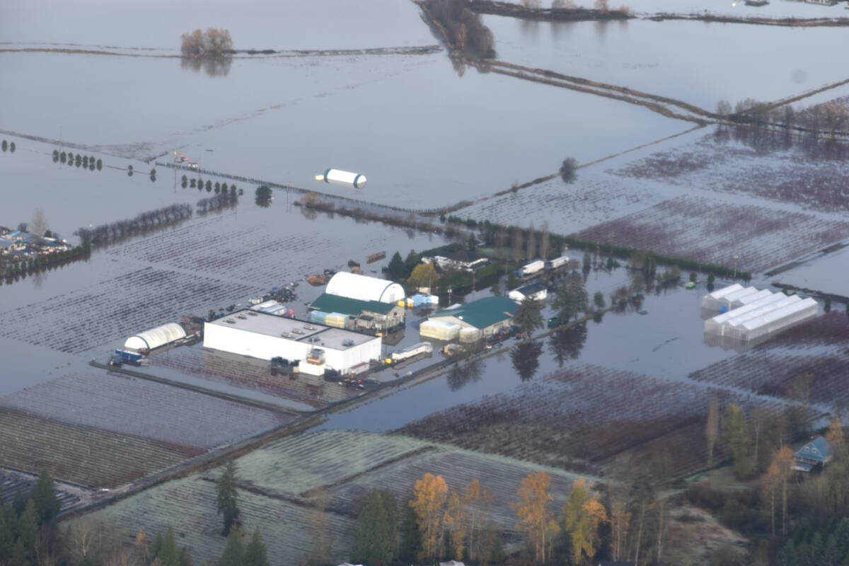PHOTOS Abbotsford from above after destructive flooding Langley