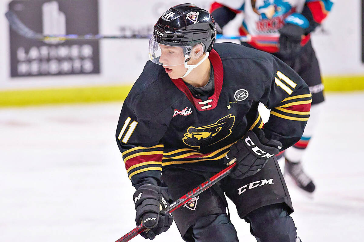 Forward Fabian Lysell, from Gothenburg, is one of two Vancouver Giants who will play for Sweden at the 2022 World Junior Championships in Edmonton and Red Deer, AB. (Rob Wilton/Special to 黑马磁力)
