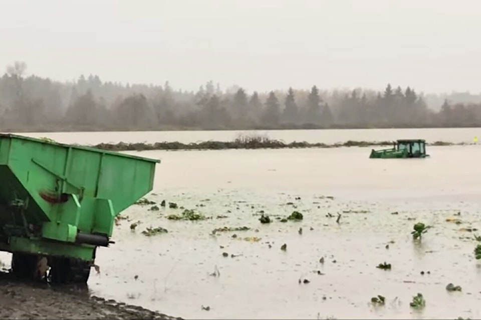 27635961_web1_211115-LAT-DF-torrential-rain-tractor_1