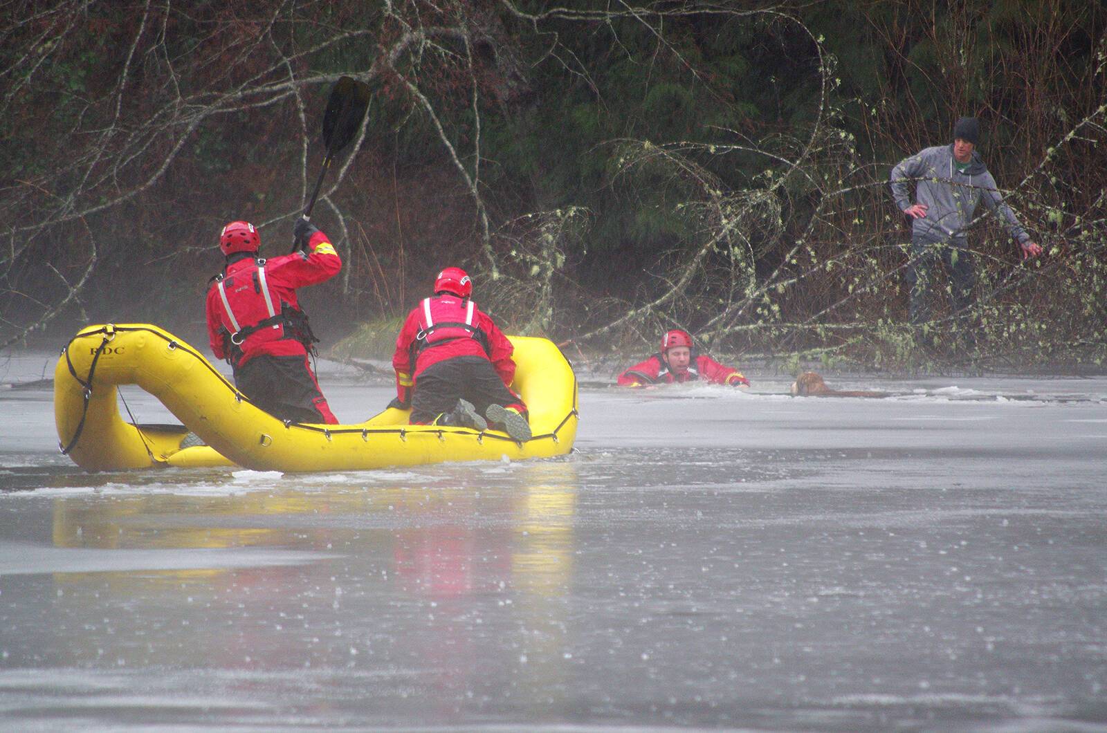 27811597_web1_copy_220112-NBU-Firefighters-rescue-dog-that-fell-through-ice-_1