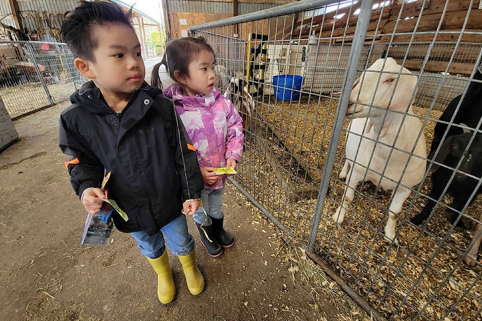 Siblings Stephen and Kendra from Walnut Grove enjoying their visit at the Aldor Acre Family Farm. (Dan Ferguson/91ԭ Advance Times)