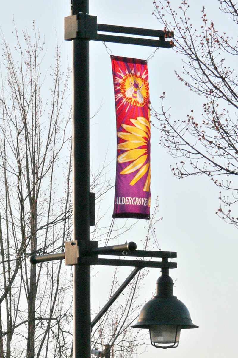 28523519_web1_220320-LAt-DF-Ukraine-banners-Aldergrove_1