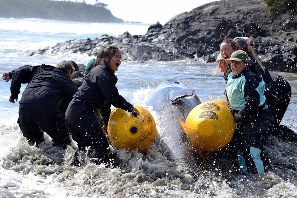 28733608_web1_220401-UWN-marine-mammal-rescue-training-at-cox-bay-WHALE_1