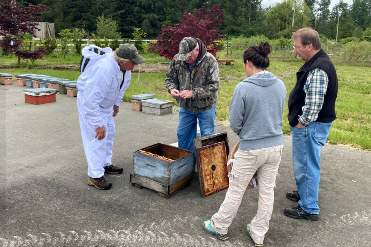 29487894_web1_220617-BPD-Aldergrove-Bees-fielddays_1