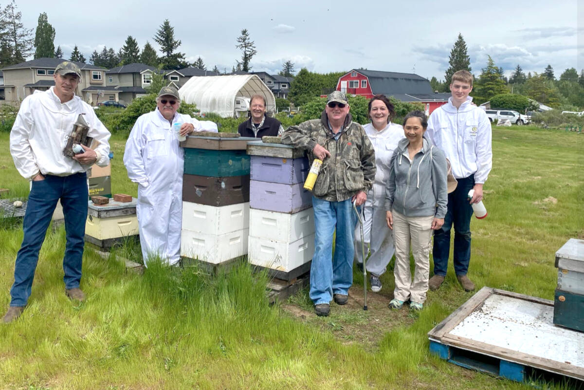 29487894_web1_220617-BPD-Aldergrove-Bees-fielddays_2