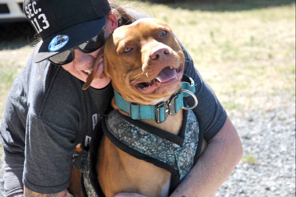 After pulling 1,170 pounds of cinder blocks along a rail track in the weight pull competition, this pup and owner took a moment to share some hugs and love. (Roxanne Hooper/Langley Advance Times)