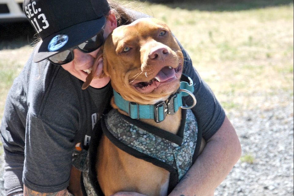After pulling 1,170 pounds of cinder blocks along a rail track in the weight pull competition, this pup and owner took a moment to share some hugs and love. (Roxanne Hooper/)