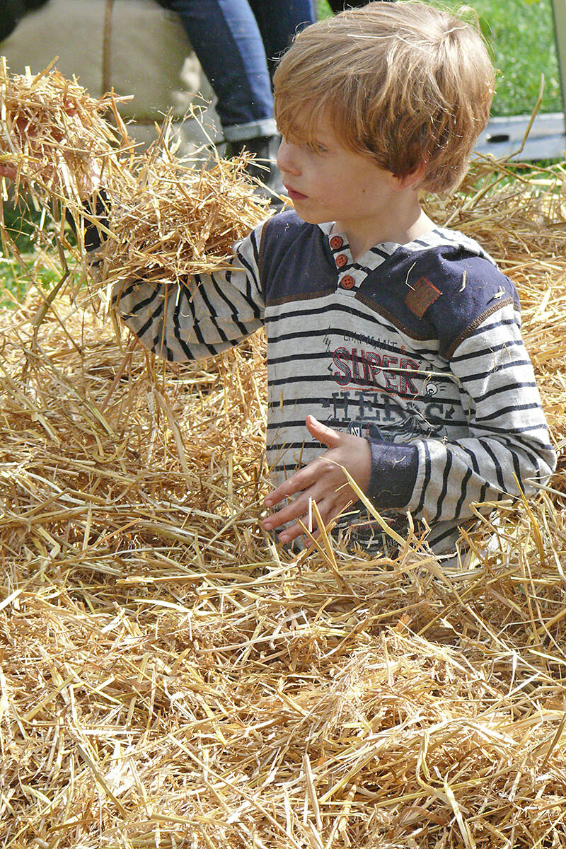 30518126_web1_191006-LAD-Heritage-apple-day-4