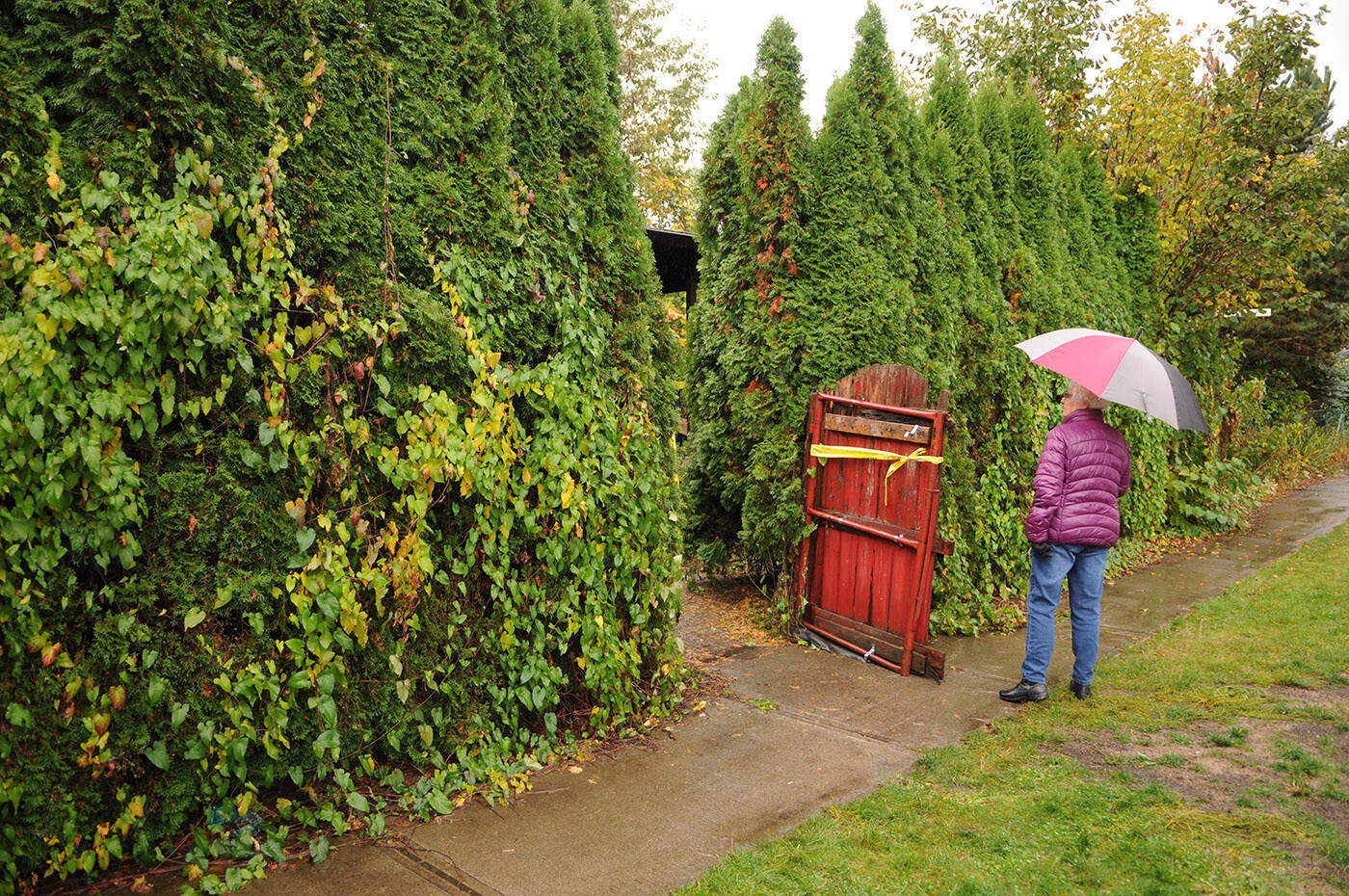 A woman looks at a house on Reece Avenue in Chilliwack on Oct. 26, 2022 that went up in flames the night before. (Jenna Hauck/ Chilliwack Progress)