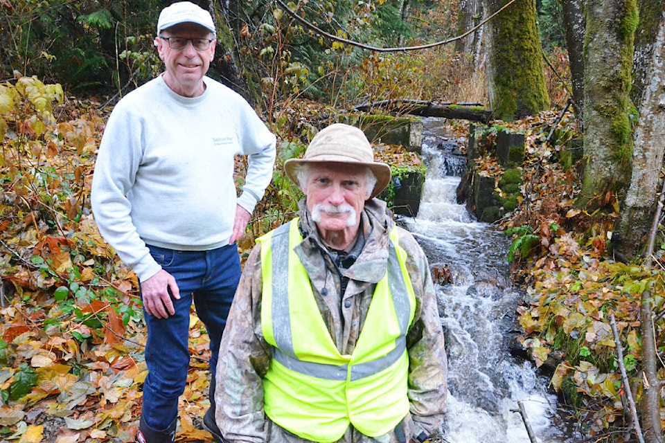 Doug McFee, left, and Gerry Reist of the Salmon River Enhancement Society, by Union Creek, one of the tributaries of the Salmon River. (Matthew Claxton/Langley Advance Times)
