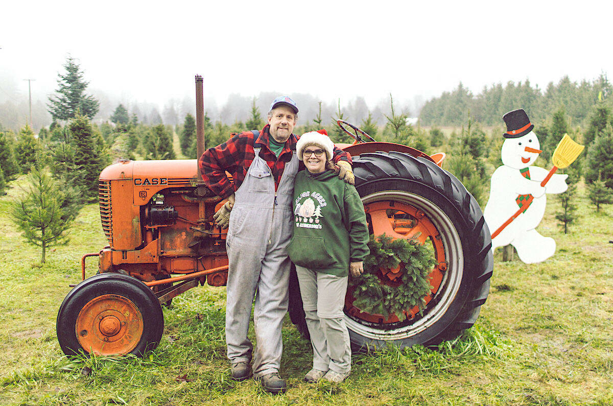 Thanks to their irrigation system, Mark and Leanna Anderson at Aldor Acres Christmas Tree Farm were able to cope with extremely hot weather that has damaged crops at other farms. (Special to 91ԭ Advance Times)