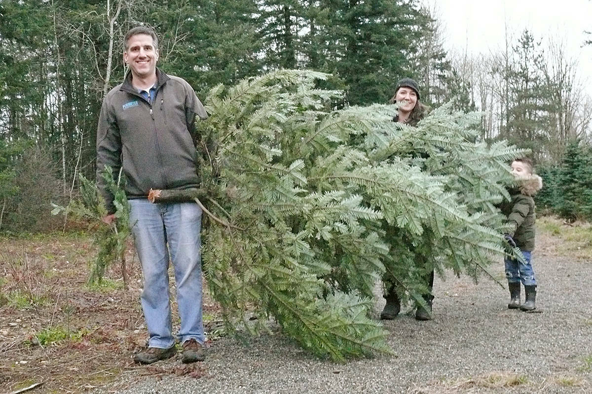 A family emerged with a purchase at the Tannenbaum Tree Farm at 5398 252 St in Aldergrove on Sunday, Nov. 29, 2020. (91ԭ Advance Times file)