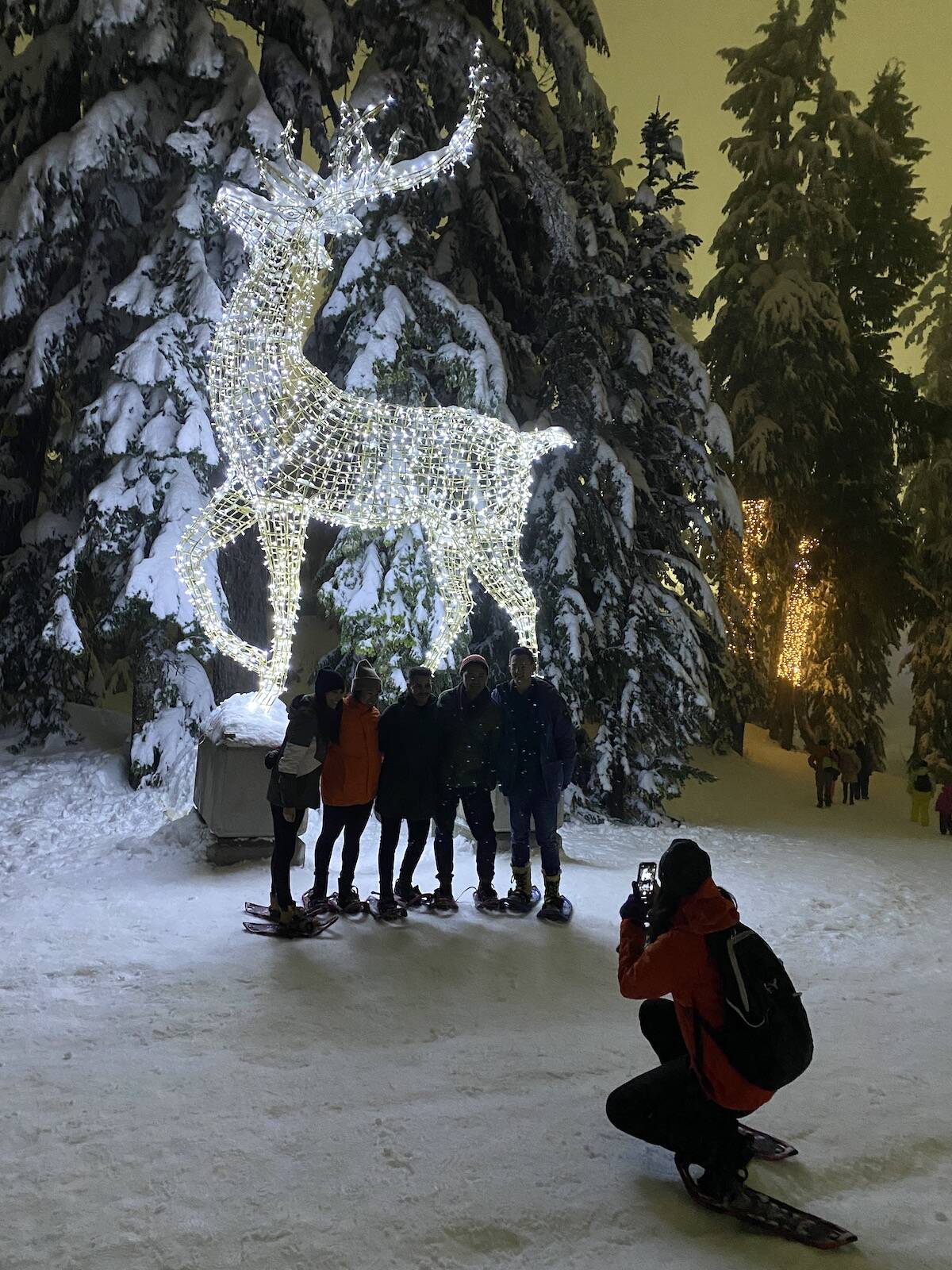 A family photo op with a lit reindeer on the Light Walk at Grouse Mountain聮s Peak of Christmas attraction. (Photo: Tom Zillich)