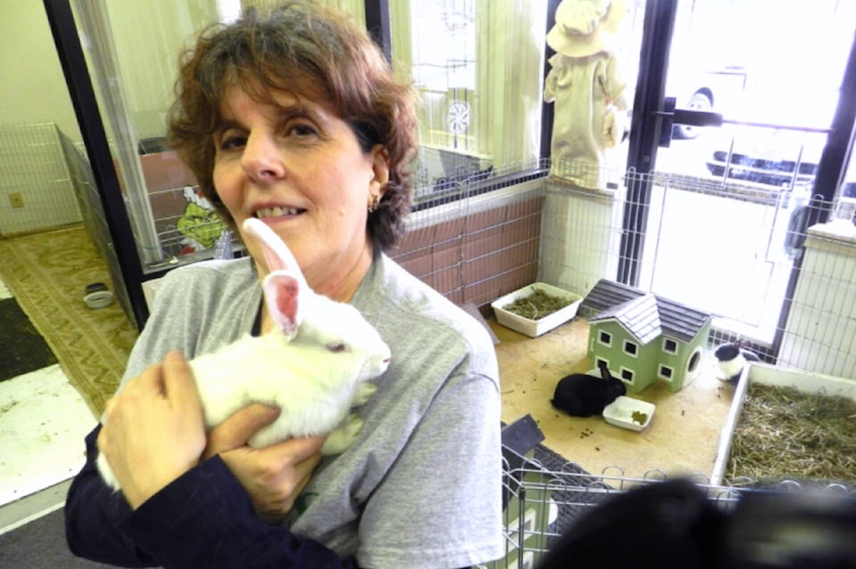 31445971_web1_221220-LAT-HC-RabbitSanctuaryFundraiser-._2