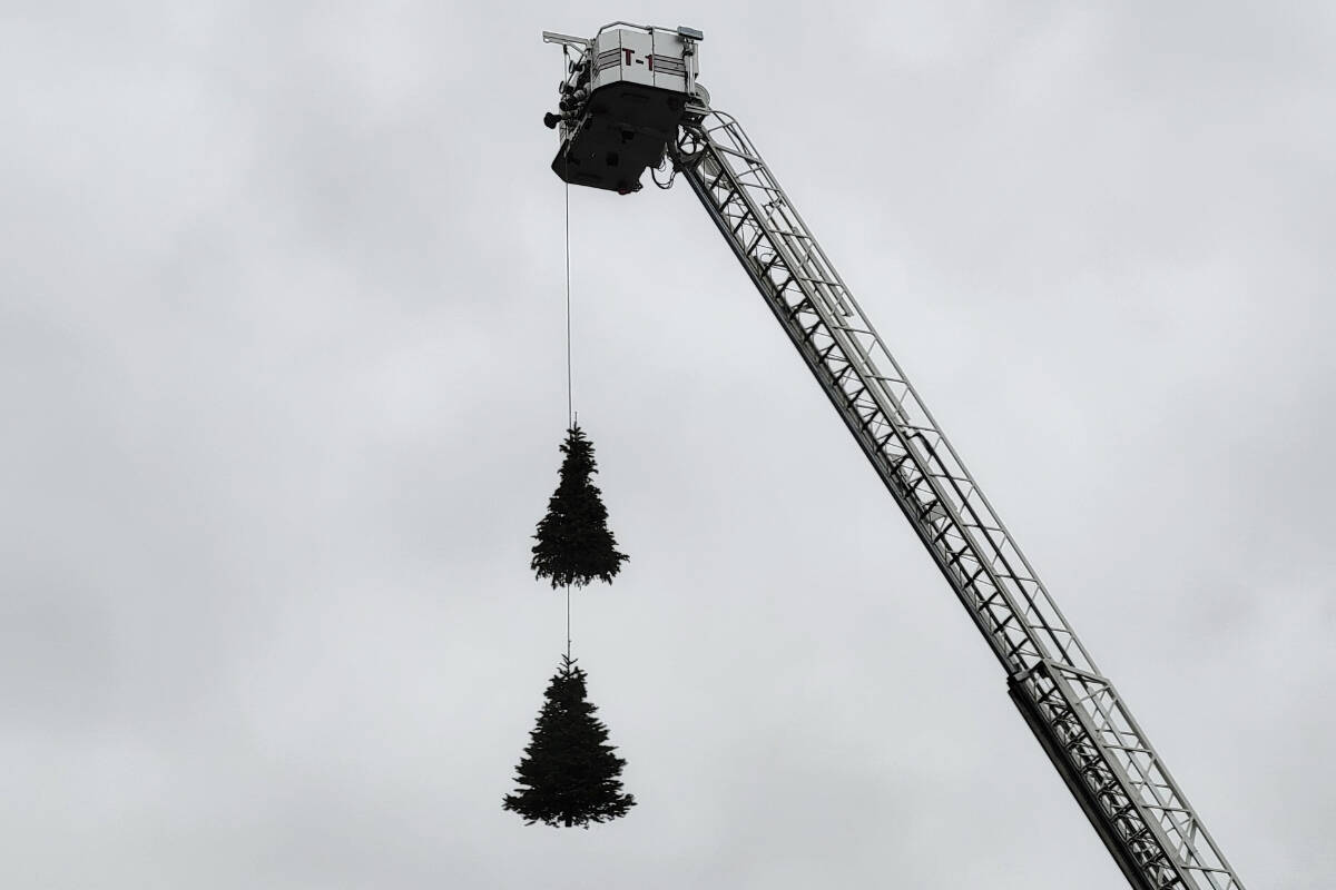 Dangling trees from a Langley City fire department ladder truck marked the location of the second post-Christmas fundraiser by Langley City paid on-call firefighters held at the former Gabbys site on Saturday and Sunday, Jan. 7-8. (Dan Ferguson/Langley Advance Times)